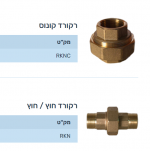 רקורד.png