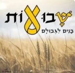 שבועות.jpg