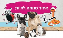 מרפאה וטרינרית 4.jpg