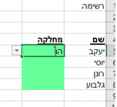 ללא שם.png