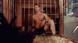 Dustin Milligan 07.gif