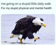 eagle_walking.jpg