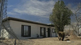 breaking bad digging.gif