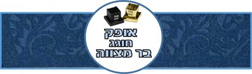 מיתוג בר מצווה אופק 4- חני היצירתית.jpg