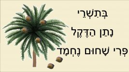 נעמי שמר בתשרי1   - חני היצירתית.jpg