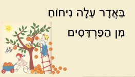 נעמי שמר בתשרי6   - חני היצירתית.jpg