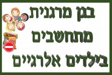 אין כניסה למזון4- חני היצירתית.jpg