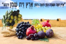 שבעת המינים- חני היצירתית.jpg