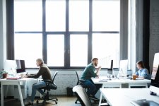 young-colleagues-work-office-using-computers.jpg