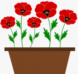 257-2579845_poppy-flower-cliparts-12-buy-clip-art-plant.png