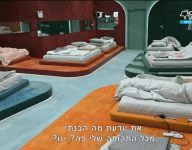 טמבל שמחפש אהדה.gif